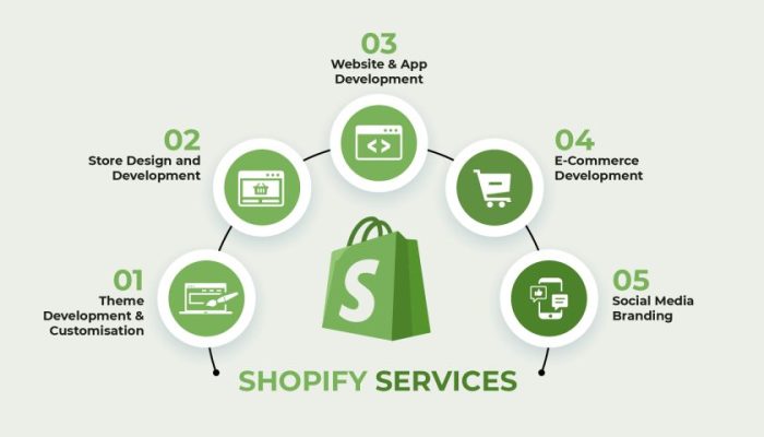 shopify-services-01-1-qt5yyzpqqpdcxcgchdra9jpzyy933kwz44i8i8b35s